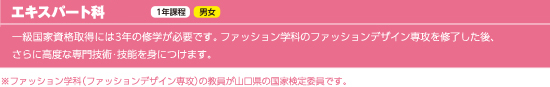 �G�L�X�p�[�g��