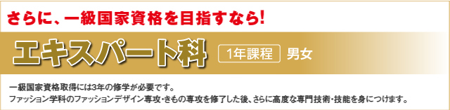 �G�L�X�p�[�g��